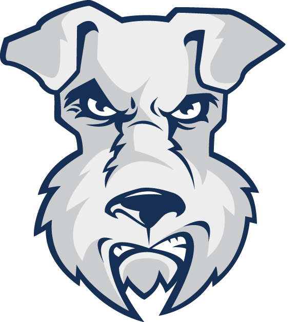 St.Francis Terriers 2001-2013 Alternate Logo vinyl decal